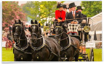 Suffolk Show Horse and Carriage