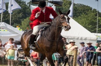 man on horse back