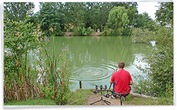 Homestead Lake Touring Park